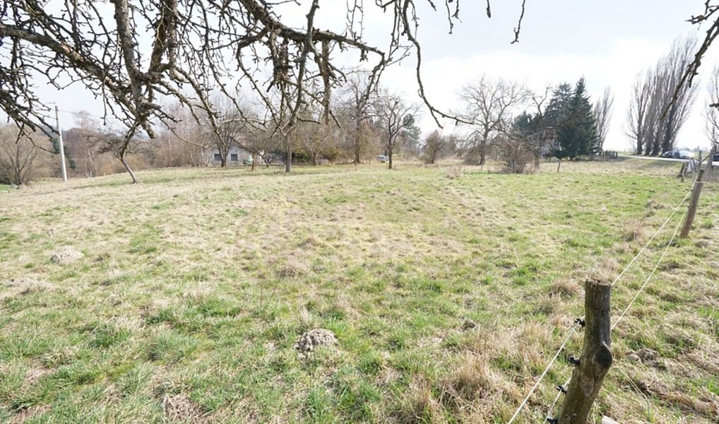 Prodej stavebního pozemku 1 964 m², Brzice – náhled fotky 4