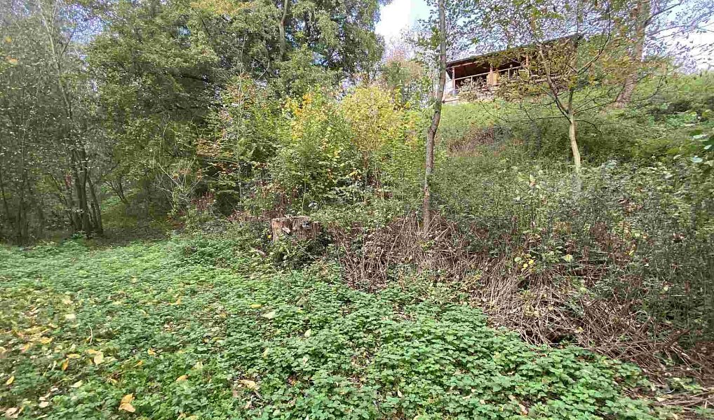 Prodej pozemku 1 003 m², Svijany – náhled fotky 2