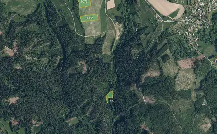 Prodej pole 19 916 m², Jílové u Držkova, okres Jablonec nad Nisou