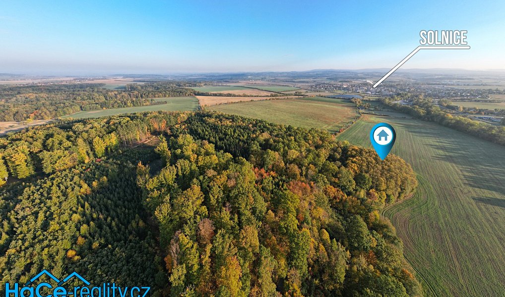 Prodej lesa 5 655 m², Solnice – náhled fotky 5