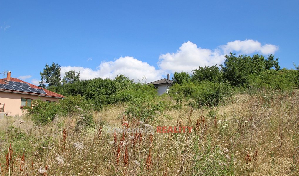 Prodej stavebního pozemku 2 679 m², Dyje – náhled fotky 3