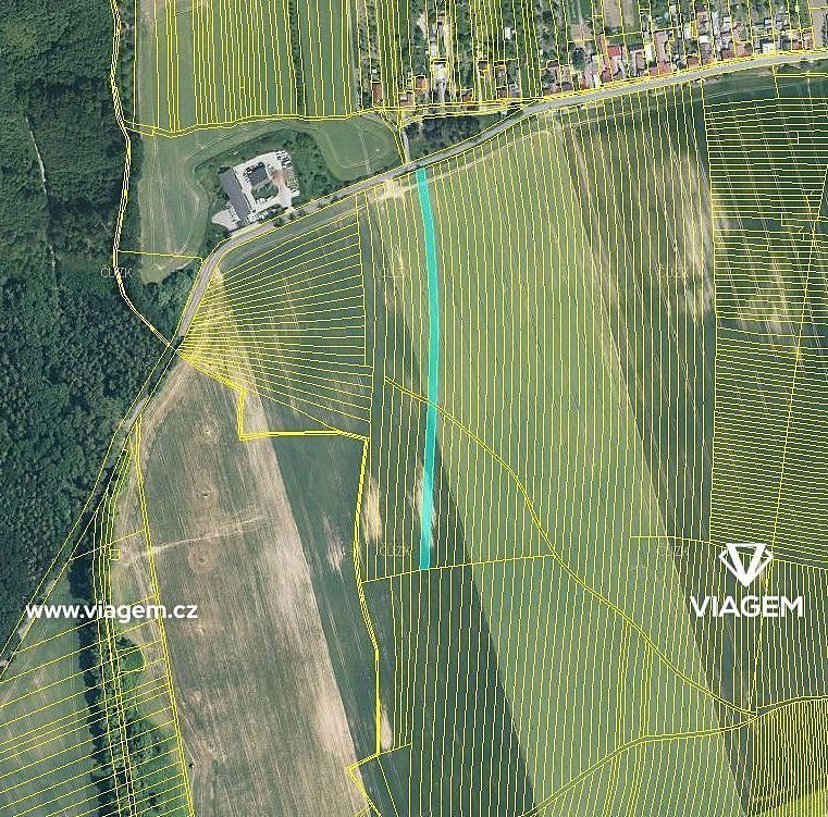 Prodej pole 1 143 m² – fotografie 3