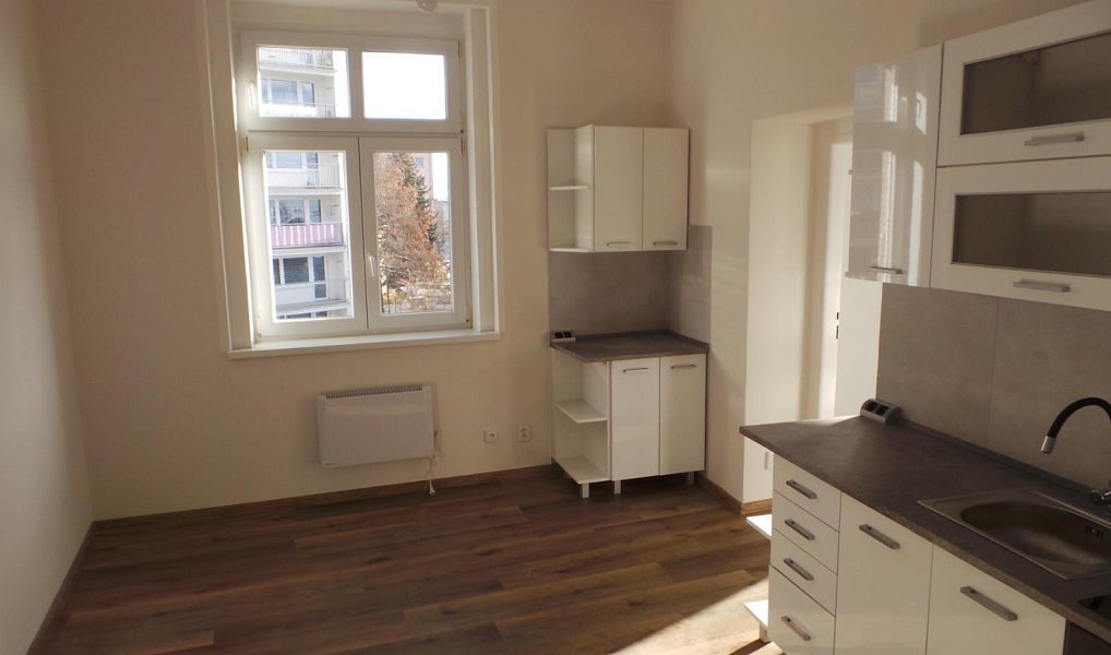 Pronájem bytu 2+1 47 m², Litvínov – náhled fotky 3