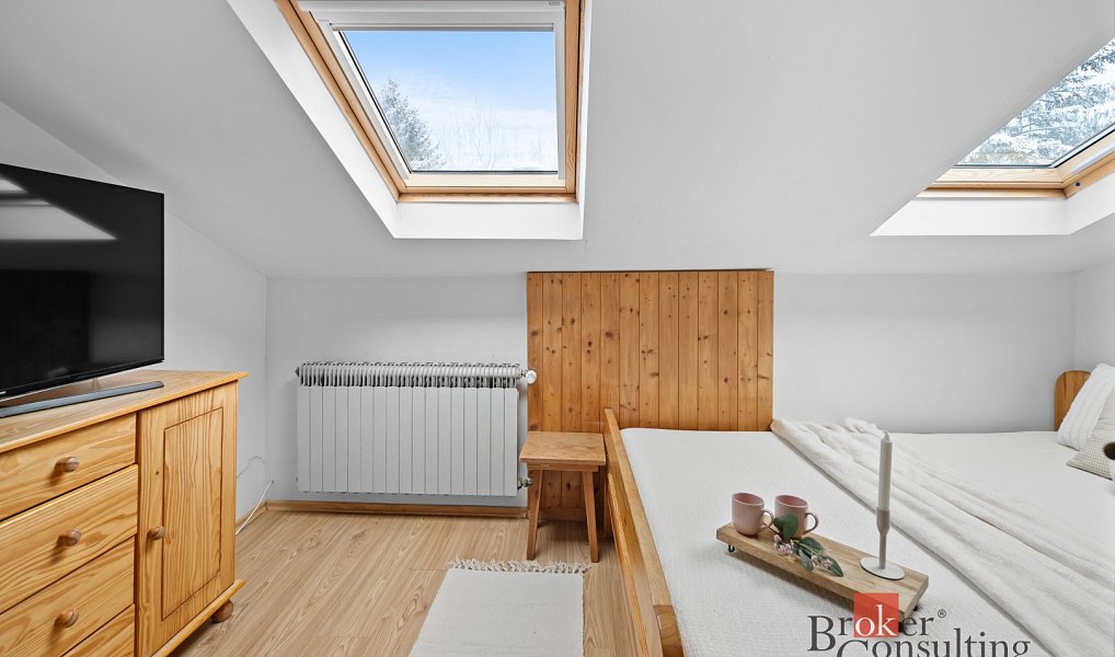 Prodej komerčního objektu (jiného typu) 498 m², Bedřichov – náhled fotky 4