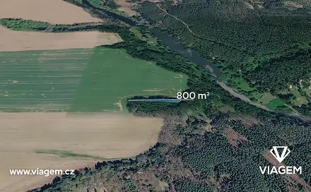 Prodej lesa 800 m², Bechyně, okres Tábor