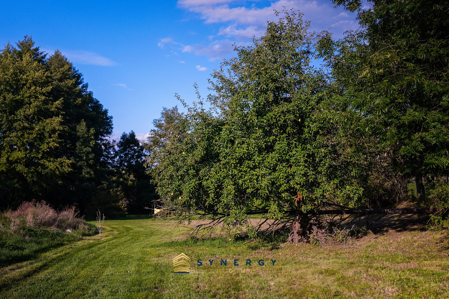 Prodej stavebního pozemku 7 684 m²
