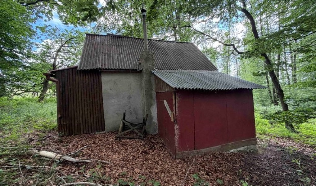 Prodej chaty/chalupy 50 m², Hybrálec – náhled fotky 11
