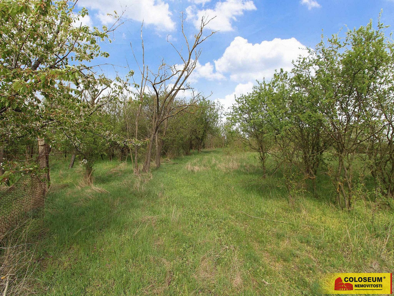 Prodej pozemku 16 843 m² – fotografie 4