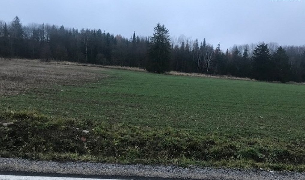 Prodej komerčního pozemku 1 354 m², Želetava – náhled fotky 12