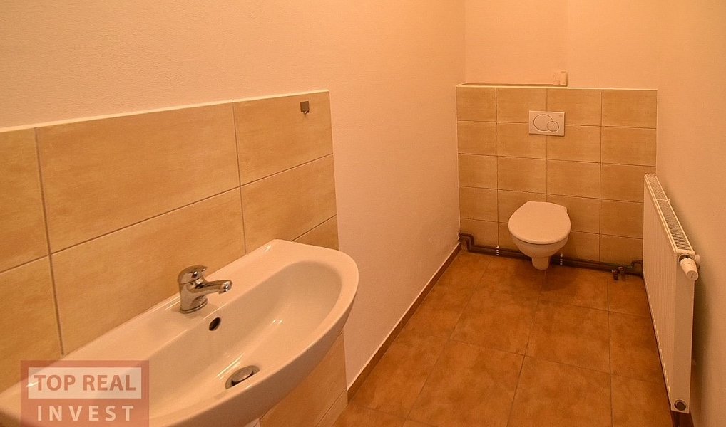 Pronájem skladovacích prostor 889 m², Troubky-Zdislavice – náhled fotky 13