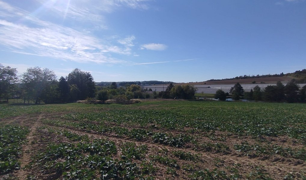 Prodej stavebního pozemku 56 184 m², Ježkovice – náhled fotky 14