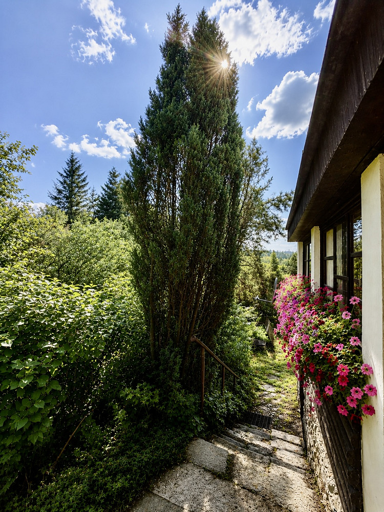 Prodej chaty/chalupy 50 m² s pozemkem 503 m² – fotografie 3