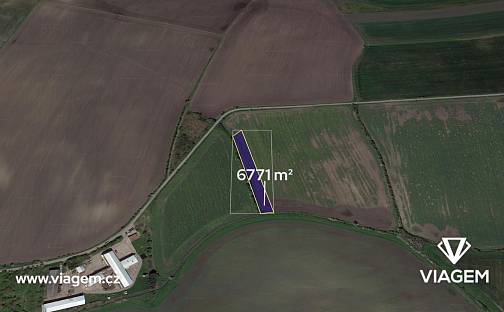 Prodej pole 241 m², Záhornice, okres Nymburk