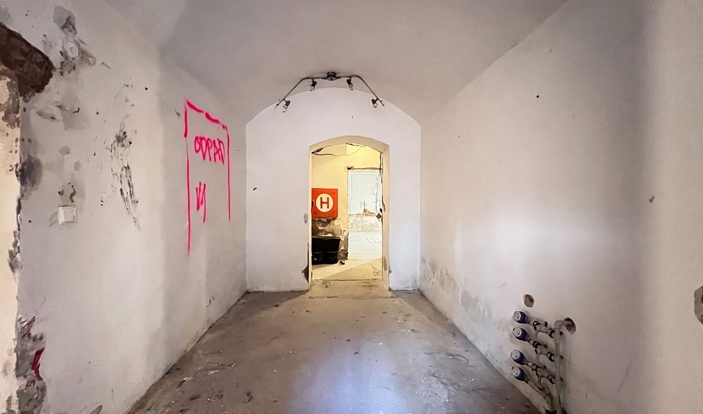 Prodej komerčního objektu (jiného typu) 235 m², Praha – náhled fotky 22