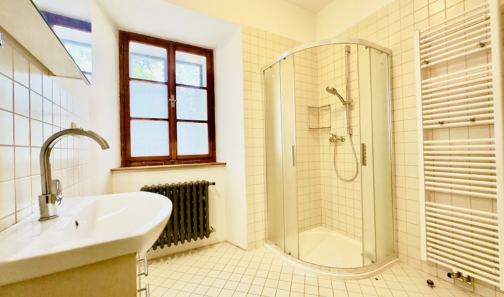 Prodej domu 324 m², Blatná – náhled fotky 13