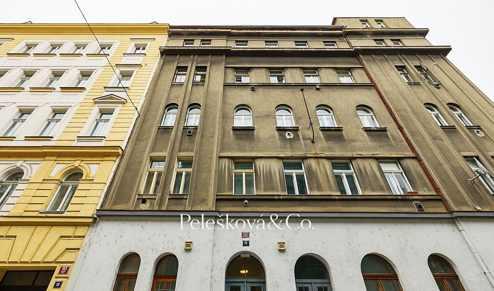 Pronájem bytu 4+kk 177 m², Praha – náhled fotky 20