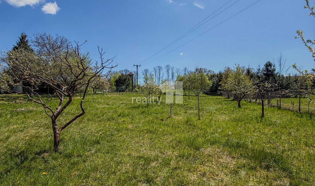 Prodej domu 200 m² s pozemkem 6 424 m², Letiny – náhled fotky 53