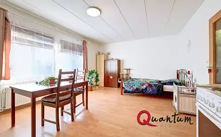 Pronájem bytu 1+kk 33 m²