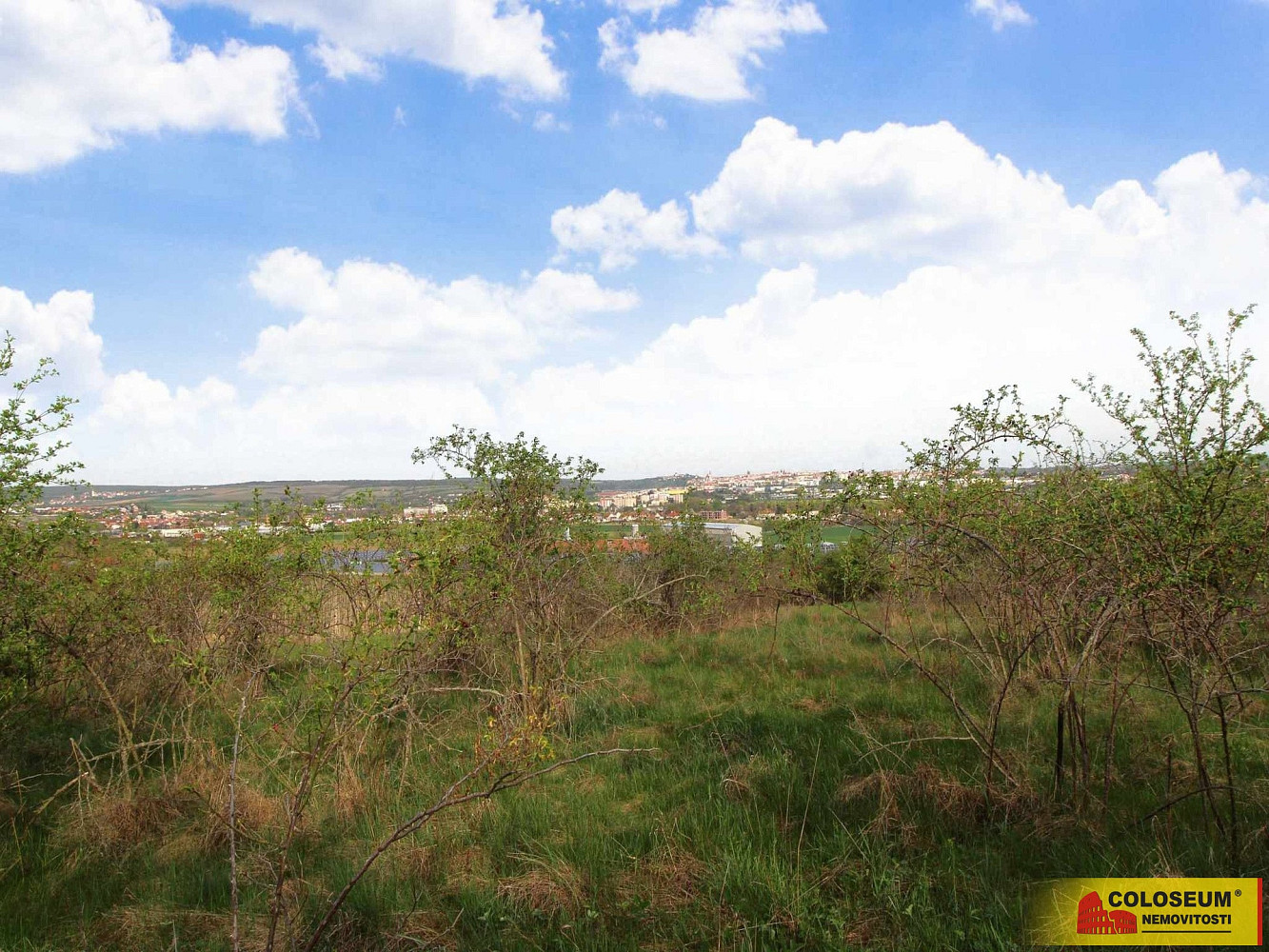 Prodej pozemku 16 843 m² – fotografie 3