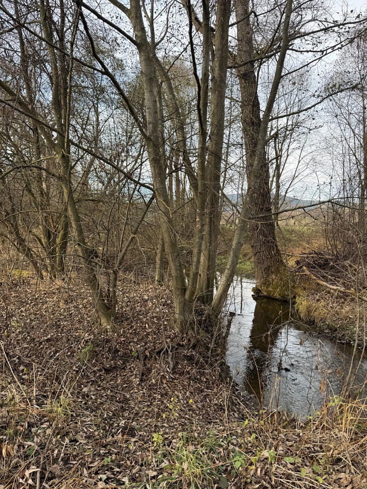 Prodej pozemku 21 761 m² – fotografie 5