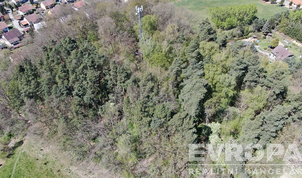 Prodej lesa 8 140 m², Zákupy – náhled fotky 4