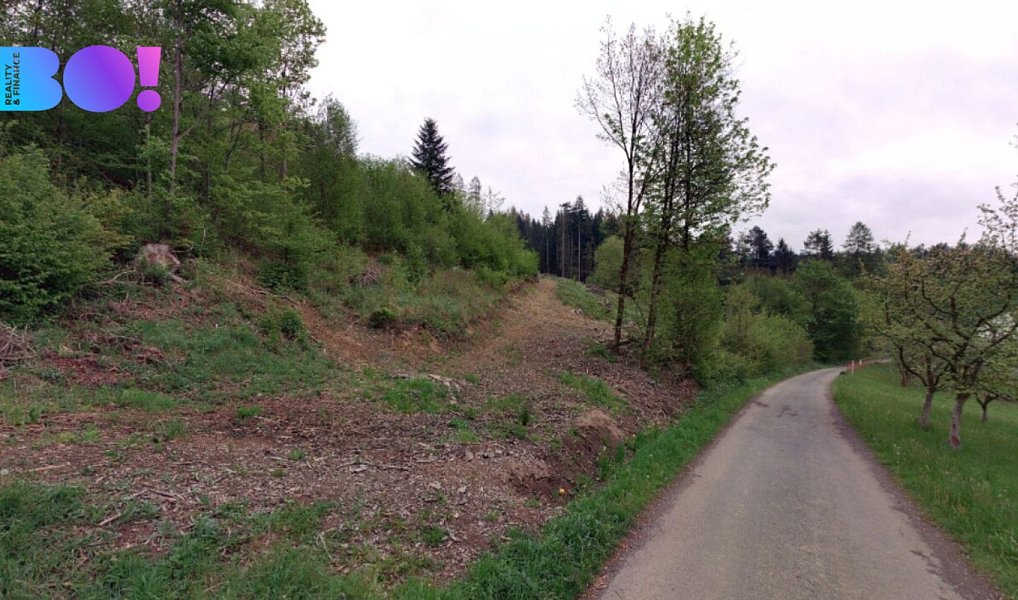 Prodej lesa 105 864 m², Liptál – náhled fotky 2