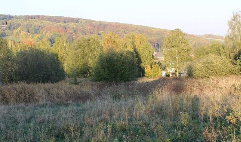 Prodej komerčního pozemku 12 121 m², Jiřetín pod Jedlovou – náhled fotky 2