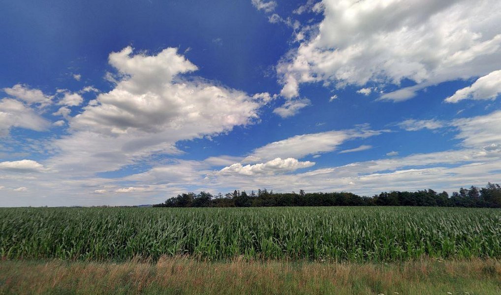 Prodej pole 2 091 m², Bystřice – náhled fotky 3