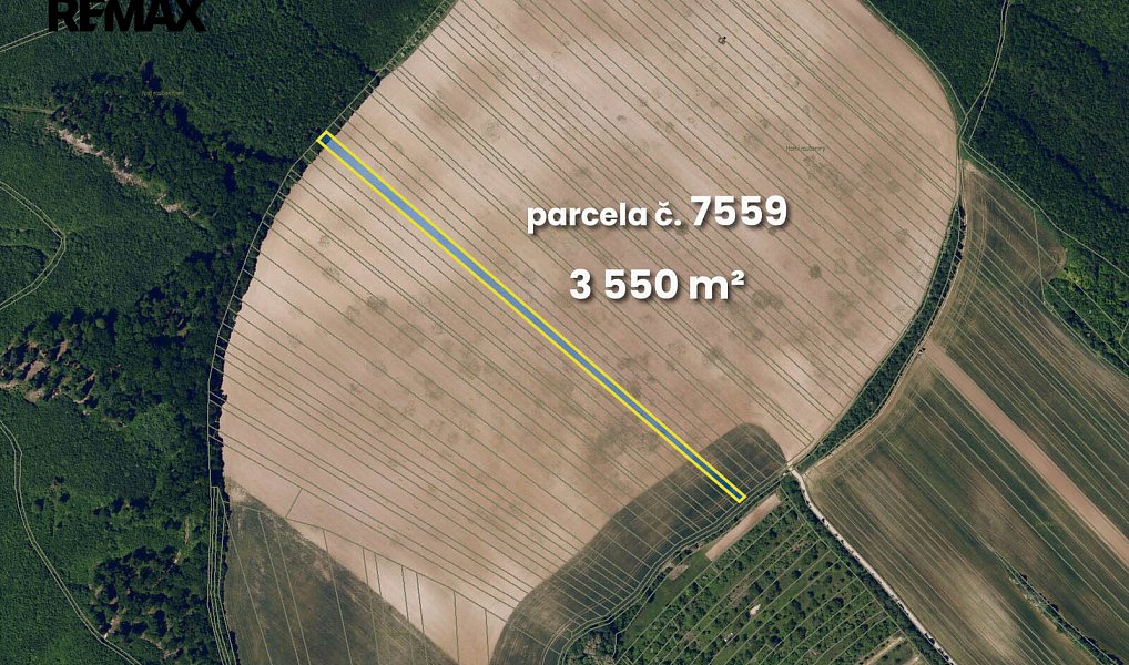 Prodej pole 5 542 m², Lovčice – náhled fotky 4