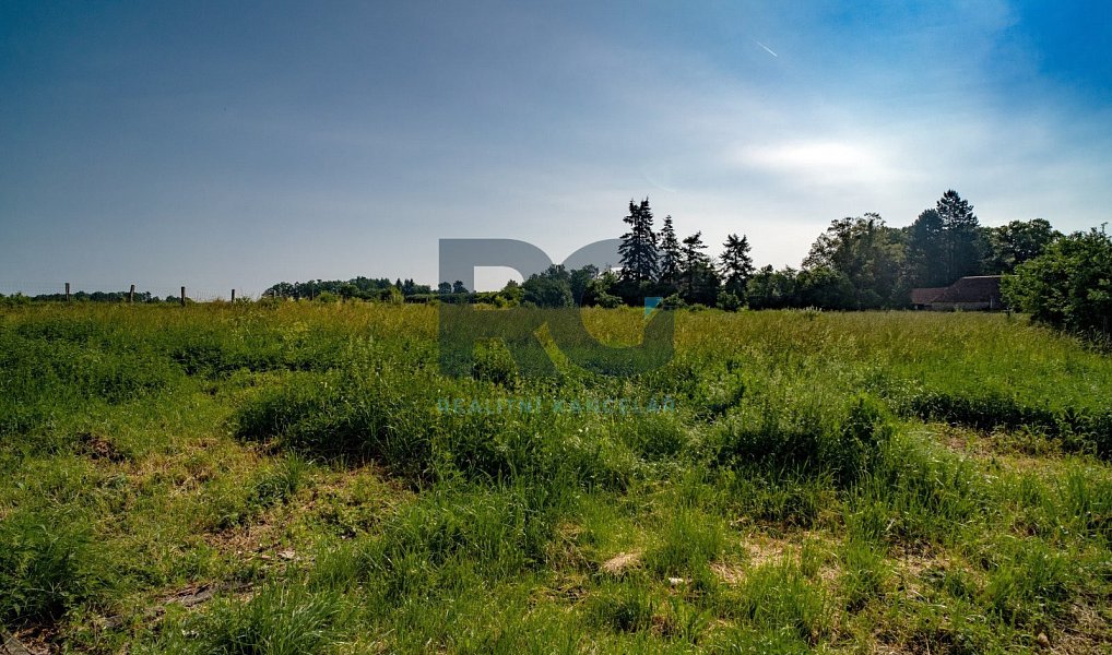 Prodej domu 174 m² s pozemkem 11 512 m², Předotice – náhled fotky 33
