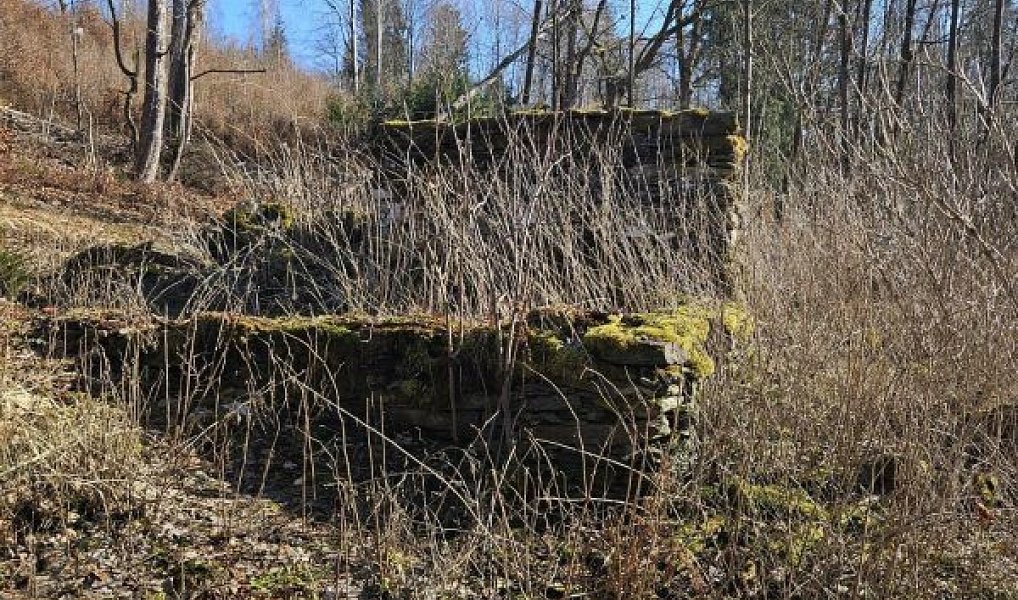 Prodej stavebního pozemku 482 m², Vysoké nad Jizerou – náhled fotky 2