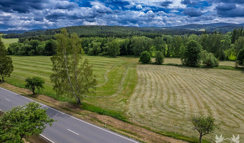 Prodej komerčního pozemku 9 518 m², Stachy – náhled fotky 10