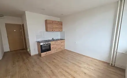 Pronájem bytu 1+kk 21 m², U Věžových domů, Most