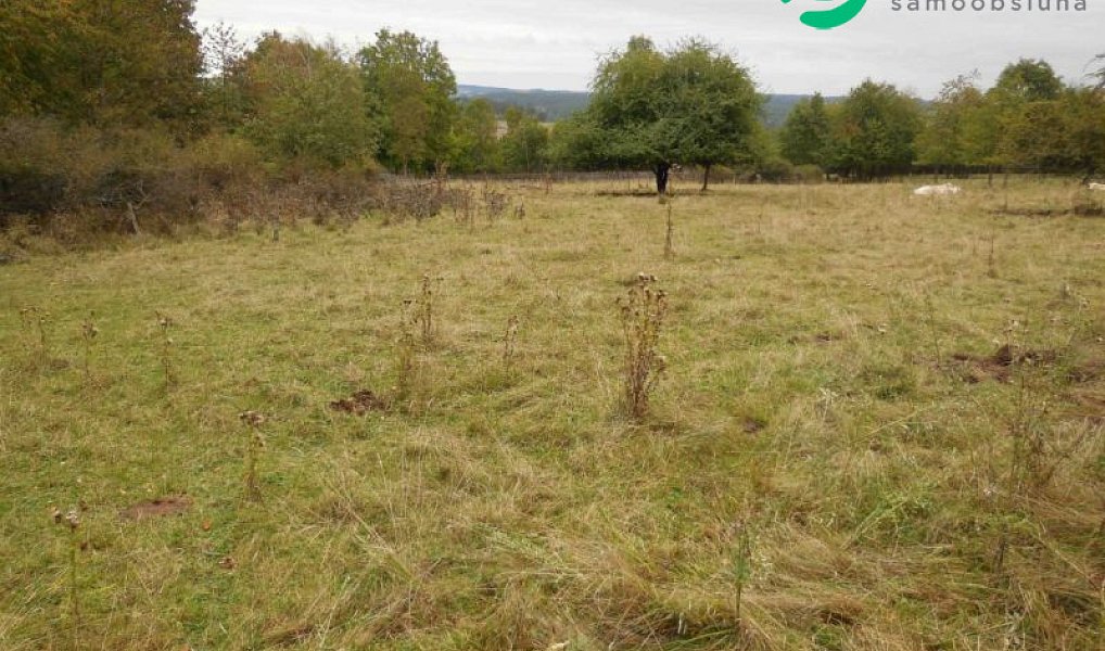 Prodej stavebního pozemku 2 000 m², Konstantinovy Lázně – náhled fotky 3