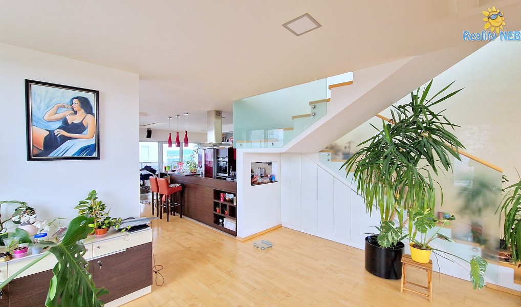 Prodej bytu 4+kk 446 m², Brno – náhled fotky 8