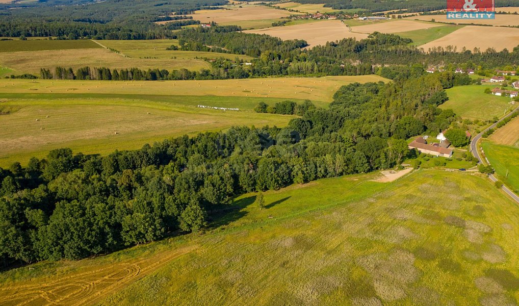 Prodej louky 6 183 m², Albrechtice nad Vltavou – náhled fotky 4