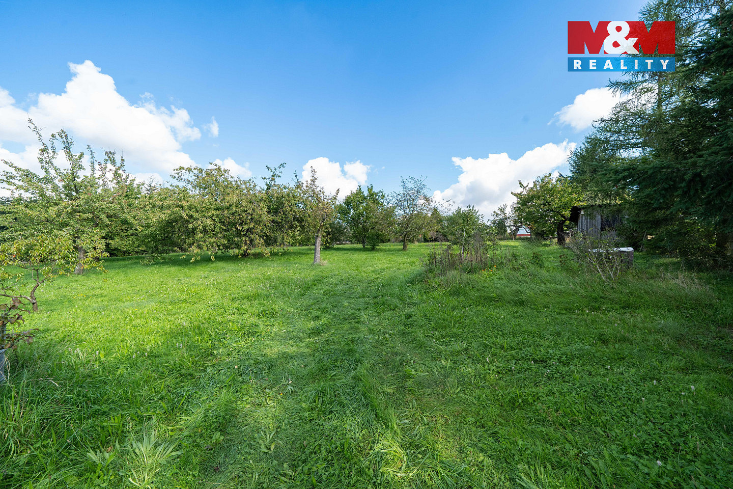 Prodej stavebního pozemku 3 585 m² – fotografie 4