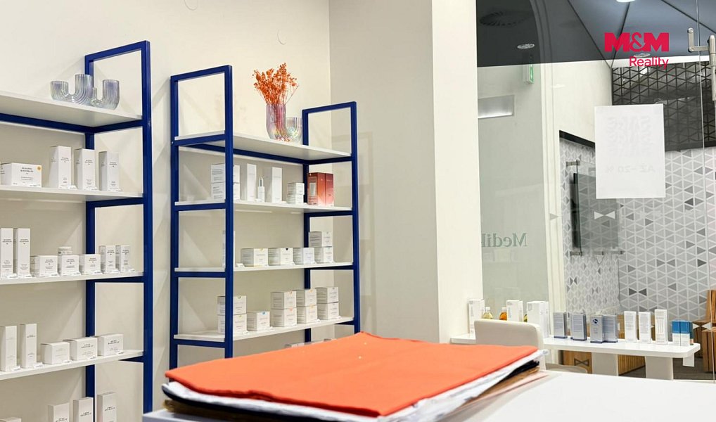 Pronájem komerčního objektu (jiného typu) 30 m², Praha – náhled fotky 2