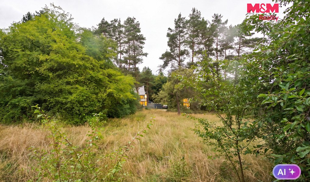 Prodej stavebního pozemku 2 828 m², Družec – náhled fotky 7