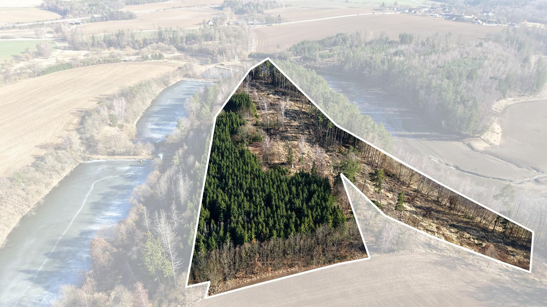 Prodej lesa 35 440 m²