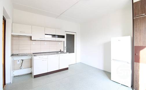 Pronájem bytu 1+1 36 m²