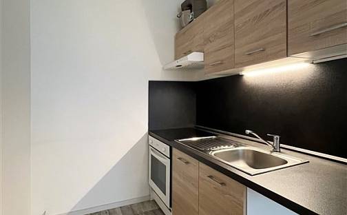 Pronájem bytu 2+kk 40 m², Josefa Ševčíka, Most