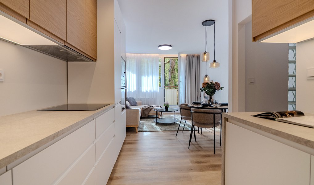 Prodej bytu 3+kk 60 m², Brno – náhled fotky 8