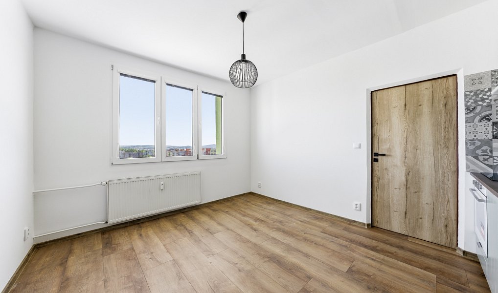 Pronájem bytu 1+1 36 m², Plzeň – náhled fotky 5