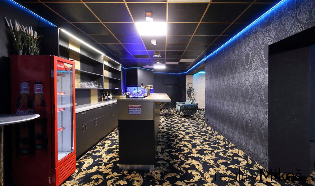 Pronájem obchodních prostor 351 m², Liberec – náhled fotky 13