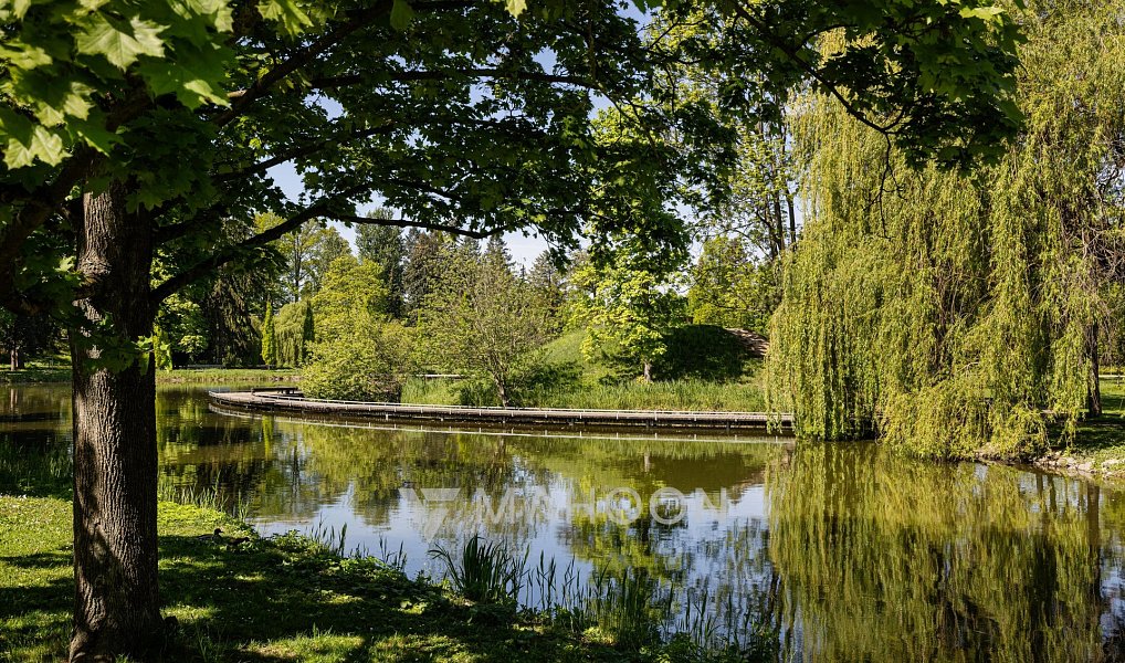 Prodej kanceláře 95 m², Hradec Králové – náhled fotky 13
