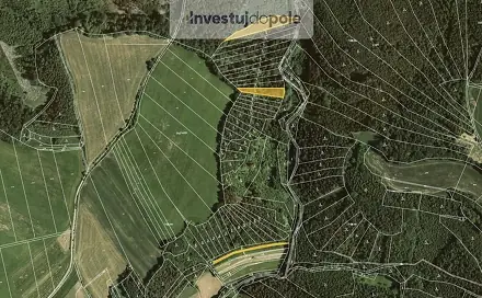 Prodej lesa 4 290 m², Letovice, okres Blansko