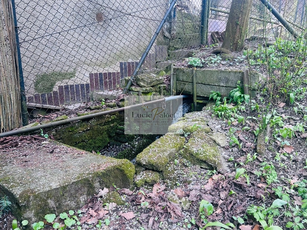 Fotka 16 z 18