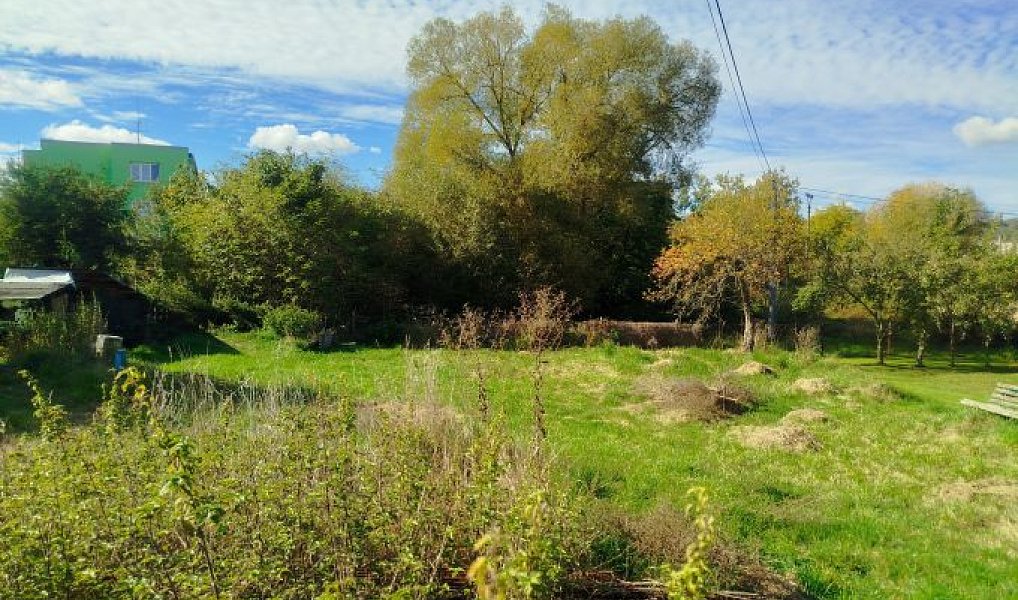Prodej zahrady 810 m², Kamenný Přívoz – náhled fotky 7