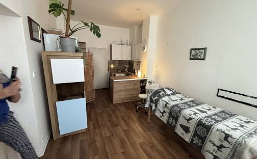 Pronájem komerčního objektu (jiného typu) 18 m², Nučická, Praha 10 - Strašnice